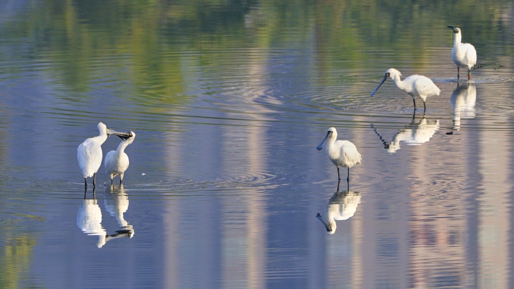 2014年(nián)09月(yuè)19日(rì)公司董事(shì)長(cháng)孫莉莉女(nǚ)士參加第三屆中國(guó)慈善項目交流展示會(huì)公益活動